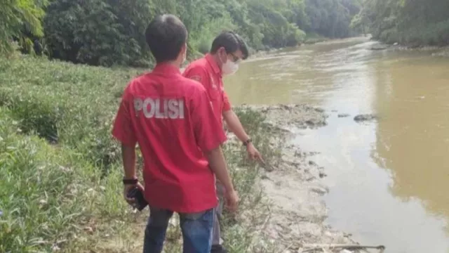 Penyebab Ribuan Ikan Mati Di Sungai Cileungsi Bogor Belum Diketahui