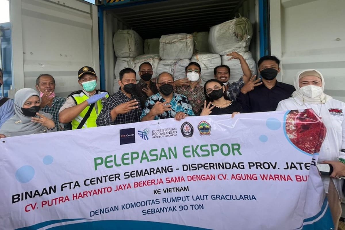 Mantap Mahasiswa Undip Ekspor Rumput Laut Kering Ke Vietnam GenPI Co