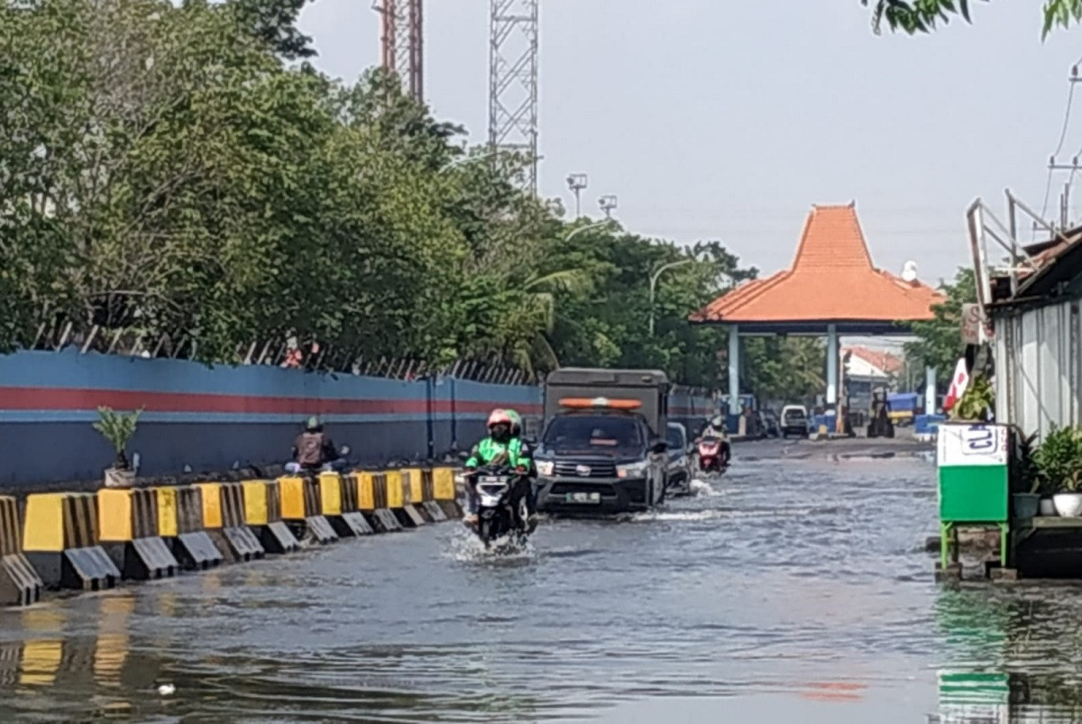 Surabaya Banjir Rob Lagi Jalan Kalimas Terendam Senti Genpi Co Jatim