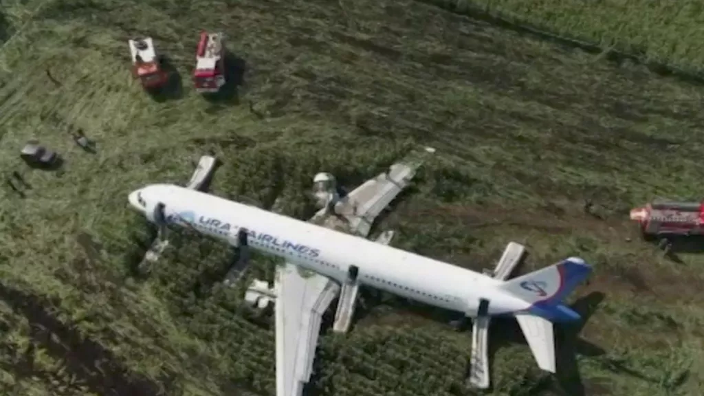 Pilot Pesawat Dipuji Karena Mendarat Darurat Usai Menabrak Burung - GenPI.co