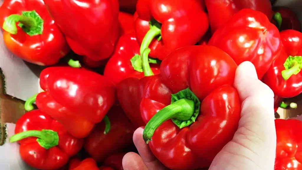 5 Jenis Sayuran Berwarna Merah yang Mengandung Nutrisi Tinggi - GenPI.co