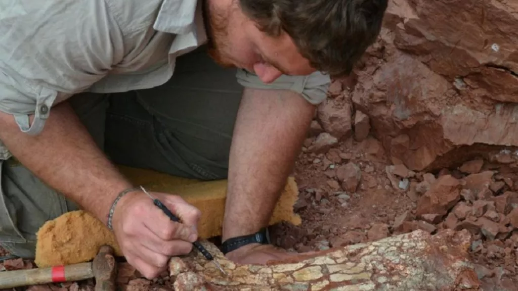 Peneliti Temukan Fosil Naga Maut, Rentang Sayapnya 9 Meter - GenPI.co