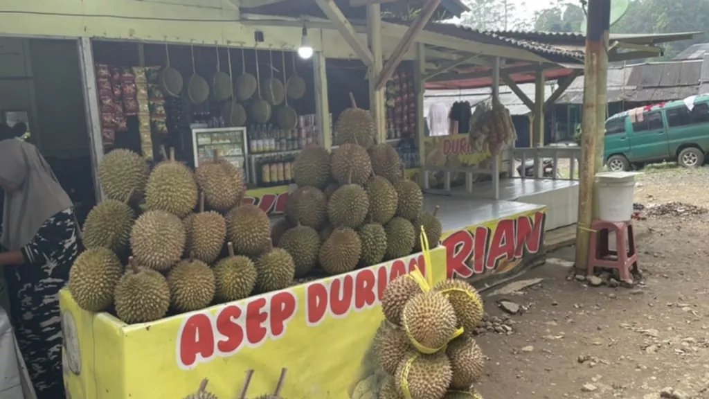 Cara Memilih Durian yang Manis dan Matang, Simak Tipsnya! - GenPI.co