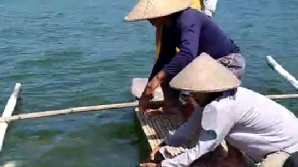 Nelayan yang Tenggelam di Bendungan Pengga Ditemukan - GenPI.co NTB