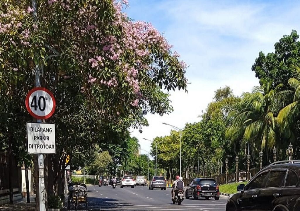 Warga Surabaya Pasti Bangga, Kotanya Semakin Ramah Lingkungan - GenPI.co JATIM