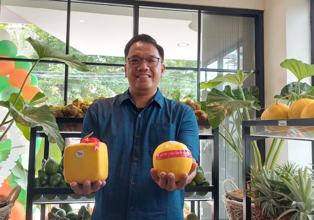 Melon di Geofresh Indonesia Bentuknya Tak Biasa, Unik! - GenPI.co JATIM