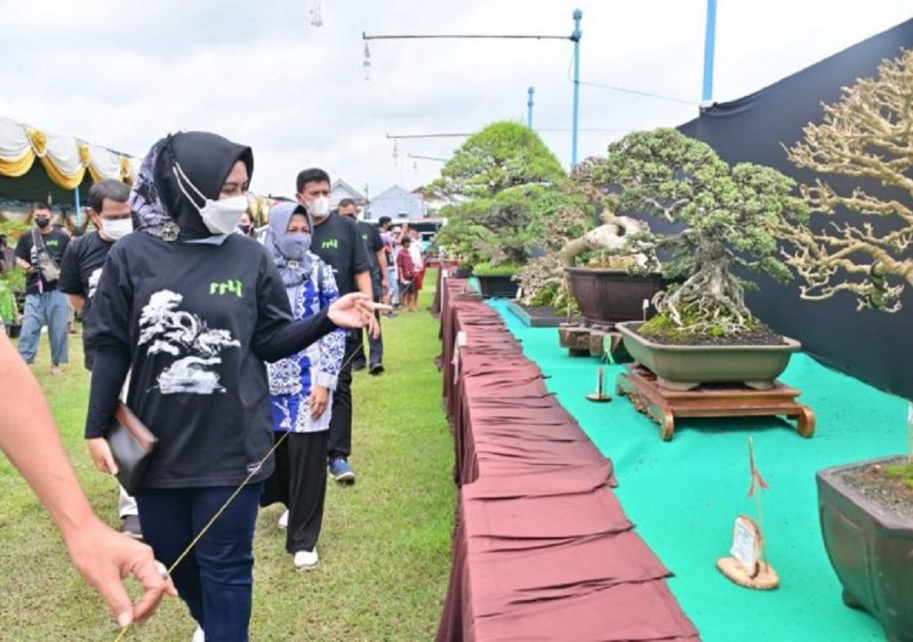 PPBI Gelar Festival Bonsai di Madiun, Ada yang Laku Rp500 Juta - GenPI.co JATIM