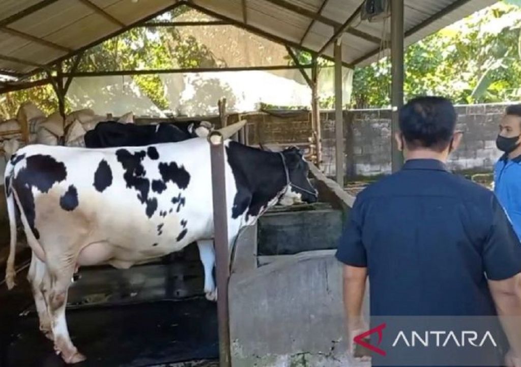 Pemkab Ngawi Mulai Batasi Ternak Luar Daerah Masuk ke Wilayahnya - GenPI.co JATIM