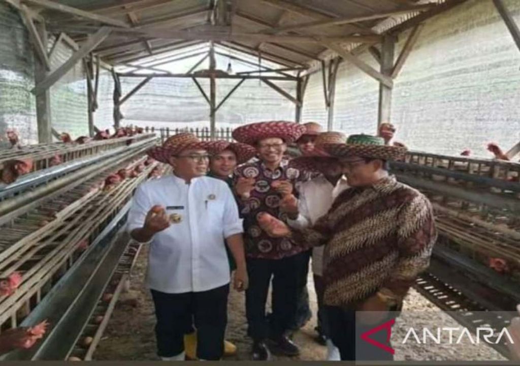 Pemkab Pamekasan Kembangkan Peternakan Pesantren, Gandeng UGM - GenPI.co JATIM