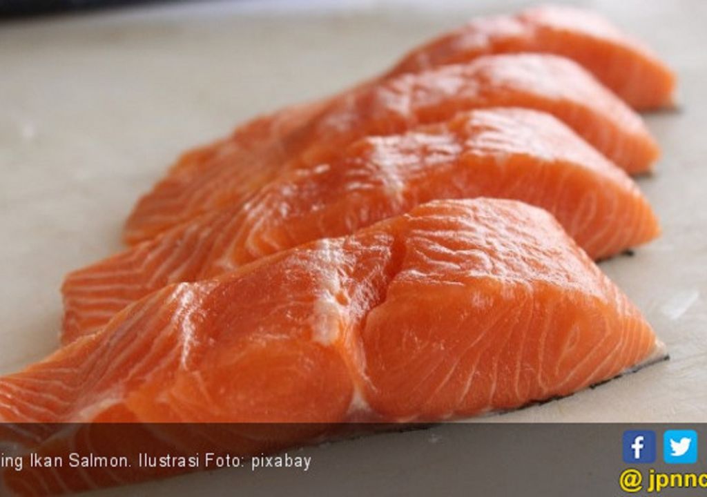 Ini Manfaat Ikan Salmon untuk Kesehatan Kulit - GenPI.co NTB
