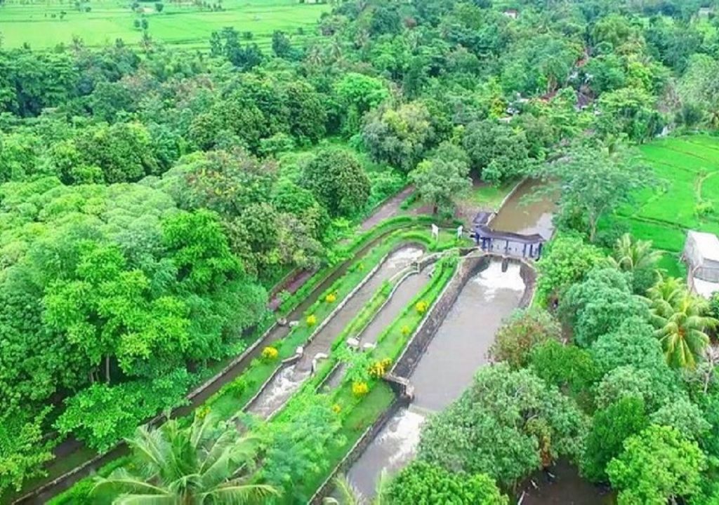 Menikmati Semilir Angin di Sawah Hijau Desa Bilebante - GenPI.co NTB