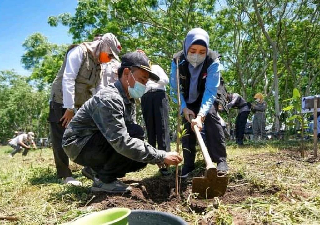 120 Hektare Lahan Hutan Sekaroh Bakal Dihijaukan - GenPI.co NTB