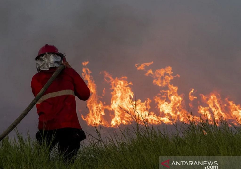 Waduh, Area Kebakaran Lahan di NTB Meluas - GenPI.co NTB