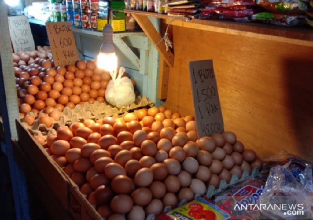 Wow, 20 Ton Telur dari Pulau Dewata Masuk ke Mataram - GenPI.co NTB