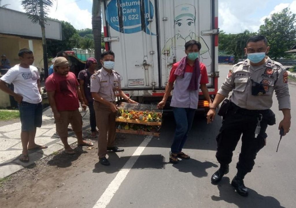 Selama 2021, Perdagangan Ilegal Ribuan Burung dari NTB Digagalkan - GenPI.co NTB