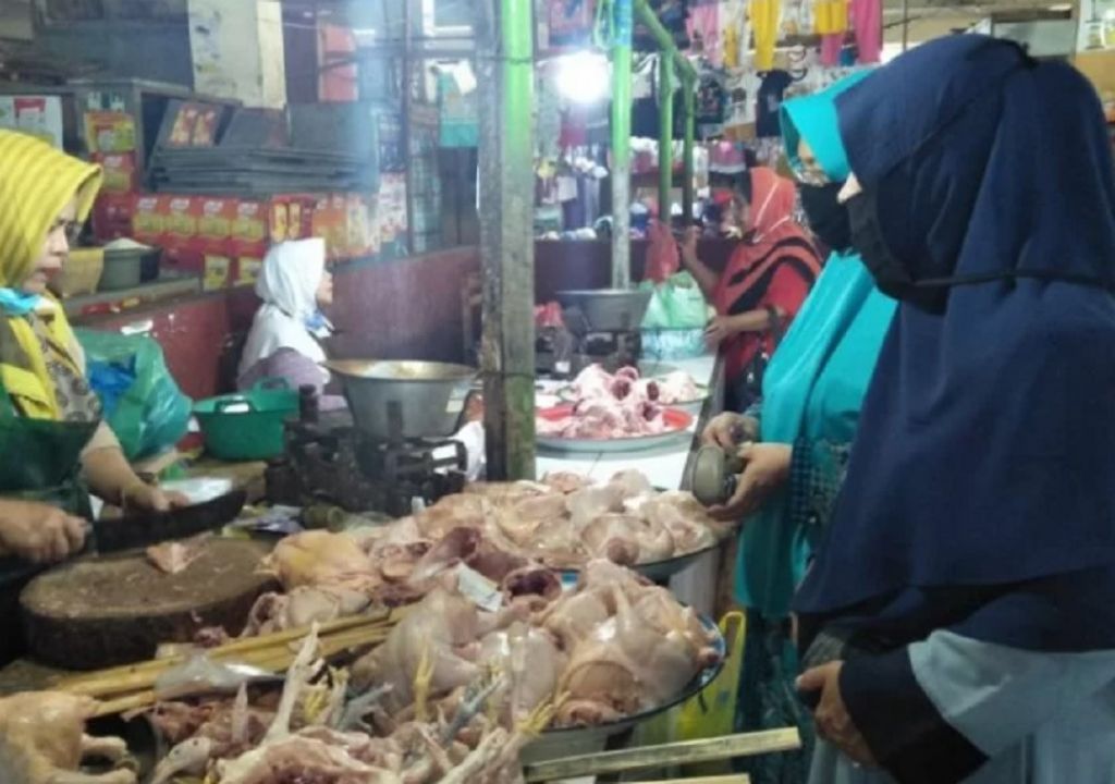 Harga Ayam Broiler Naik, ini Tanggapan Distan Mataram - GenPI.co NTB