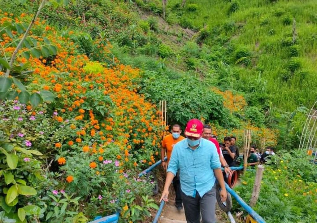 Ini di Bima, Tanah Gersang Disulap Jadi Kebun Bunga - GenPI.co NTB