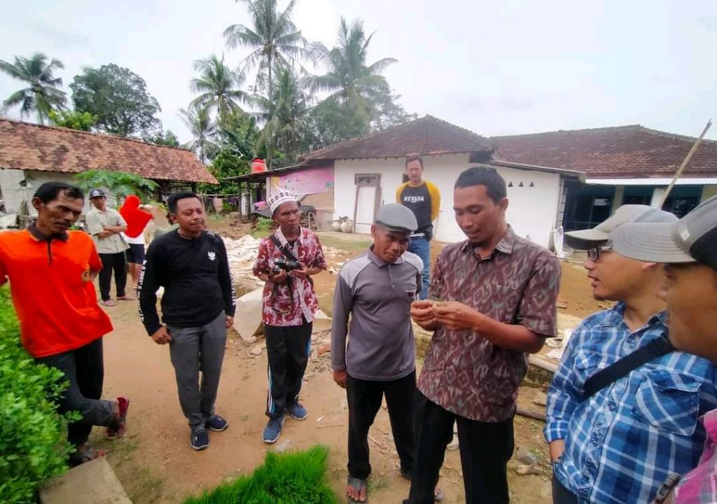 Padi Organik, Pemdes Lantan Dibantu Bank Syariah Indonesia - GenPI.co NTB