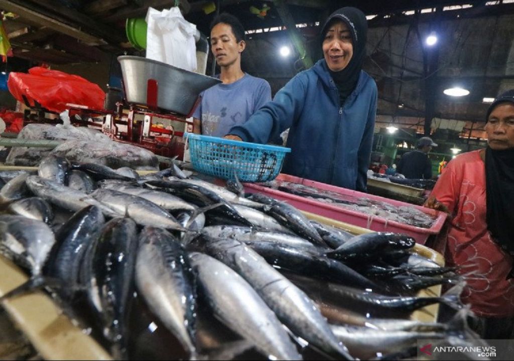 Manuver DKP Mataram untuk Nelayan Kandas, ini Alasannya - GenPI.co NTB