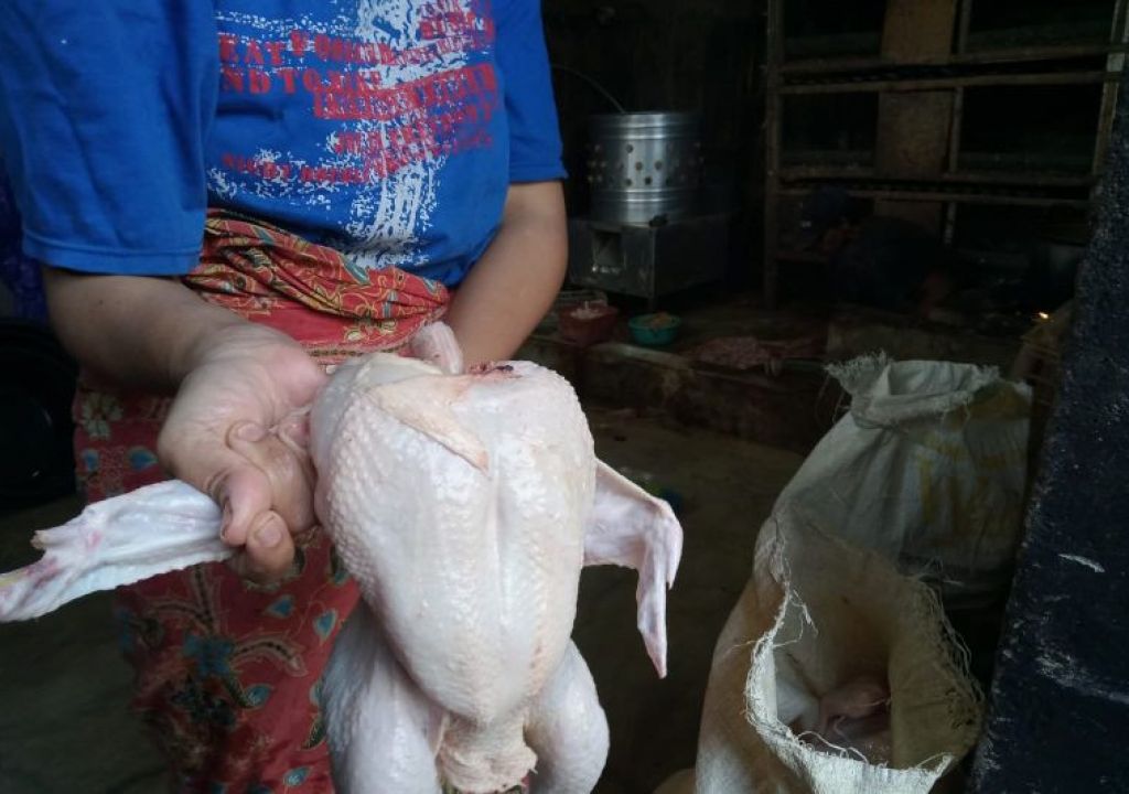 Penuhi Permintaan Lebaran, 70 Ton Daging Ayam Beku Masuk Mataram - GenPI.co NTB