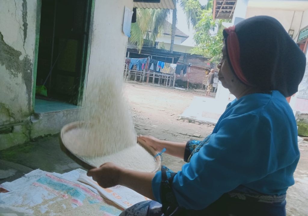 Mengenal Tradisi Menampik Beras di Warga Lombok - GenPI.co NTB