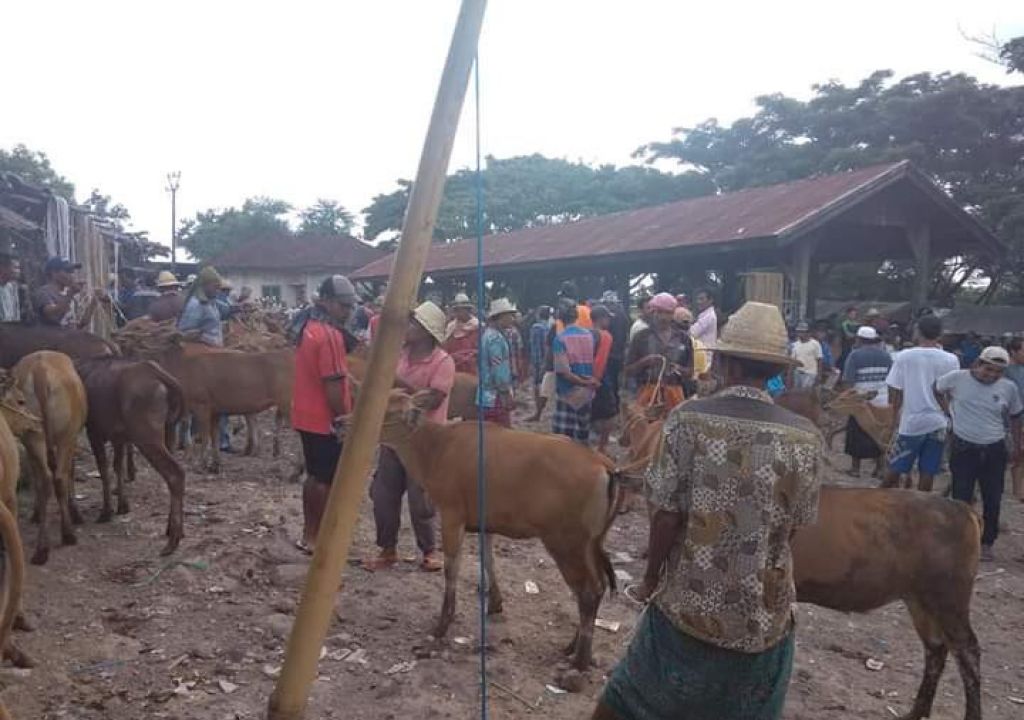 Pasar Hewan di Lombok Tengah Tetap Buka, Alasannya? - GenPI.co NTB
