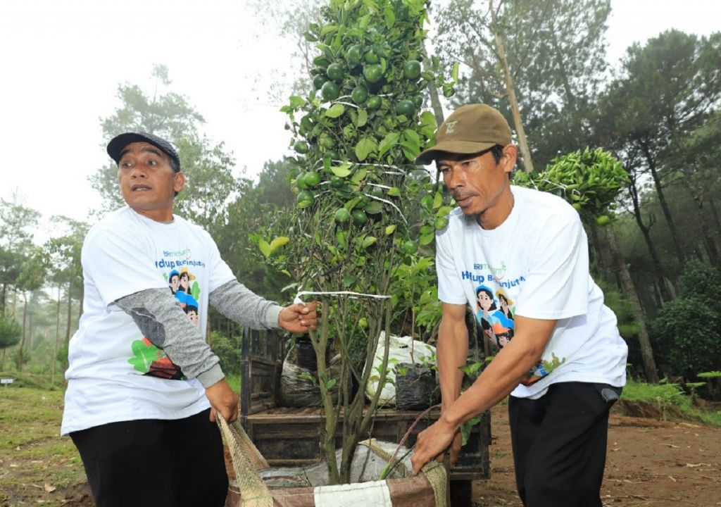 Jadi Ladang Cuan, Nasabah Ungkap Manfaat BRI Menanam - GenPI.co NTB