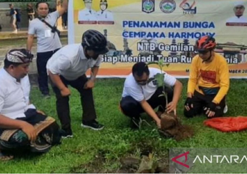 Pohon Cempaka Harmoni Simbol Toleransi di NTB - GenPI.co NTB