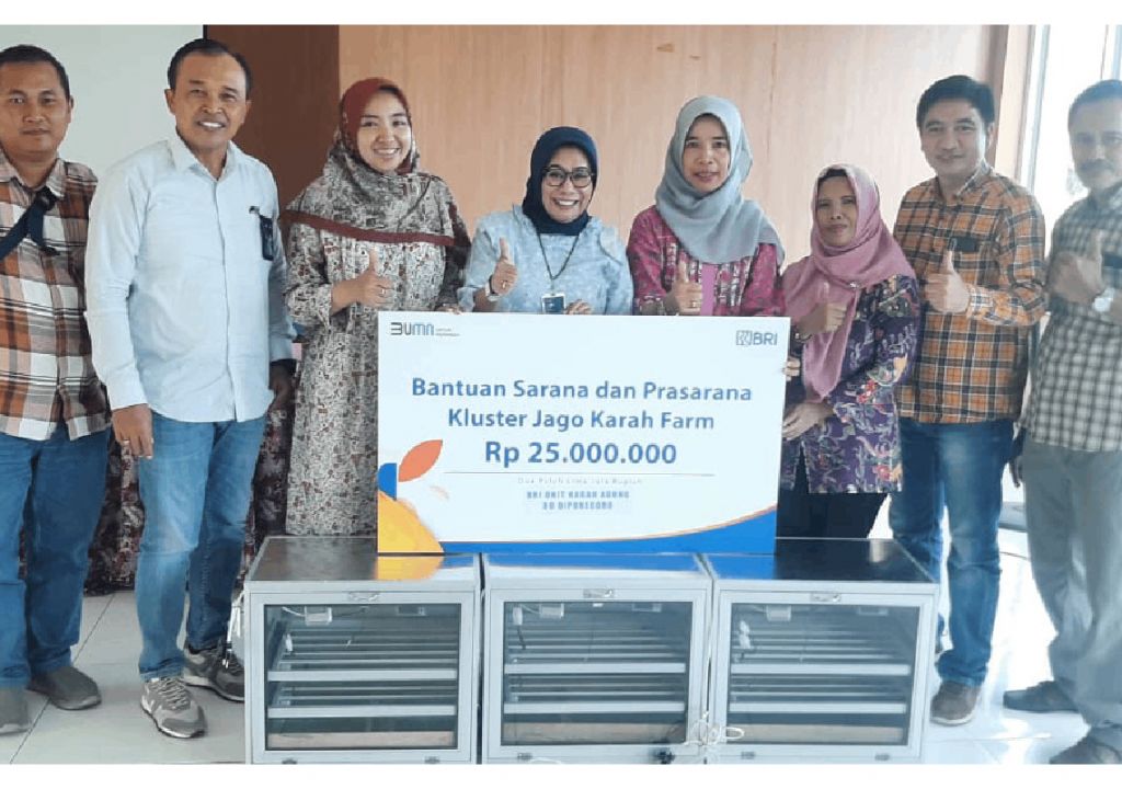 Program Pemberdayaan BRI Bikin Peternakan Ayam di Surabaya Ini Berkembang - GenPI.co NTB