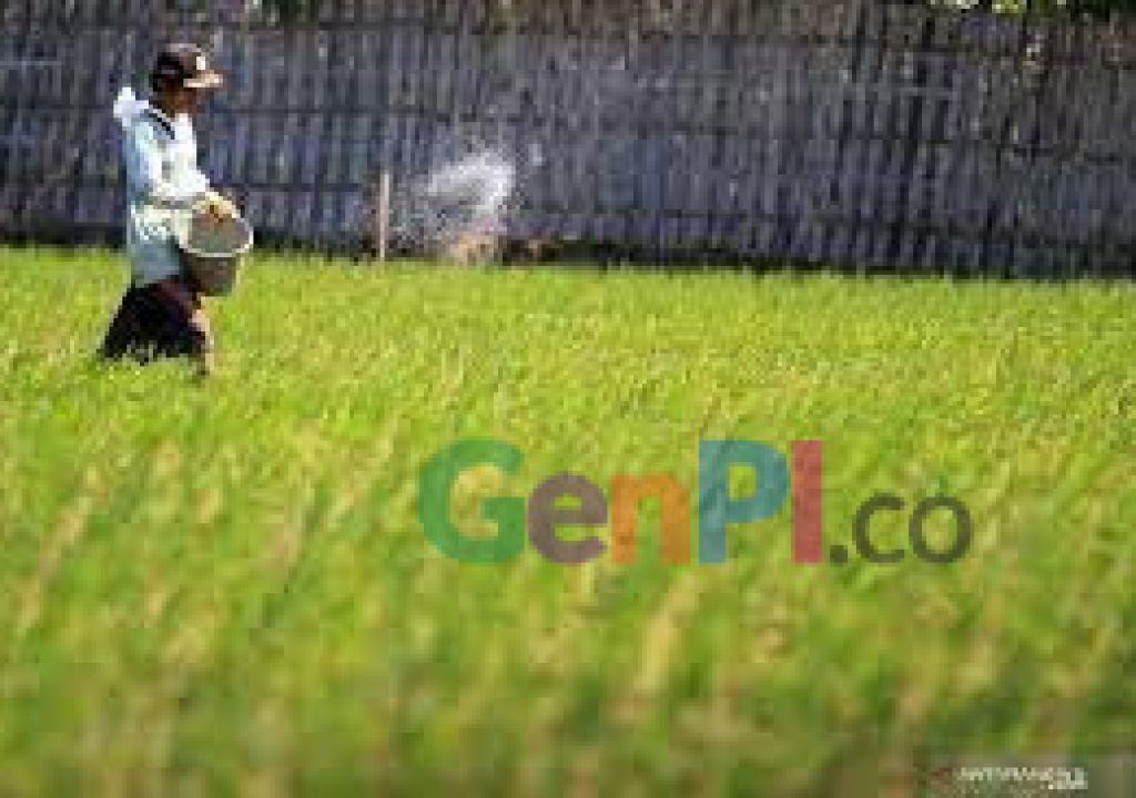 Petani Harus Tahu, Kuota Pupuk Subsidi Terbatas - GenPI.co NTB