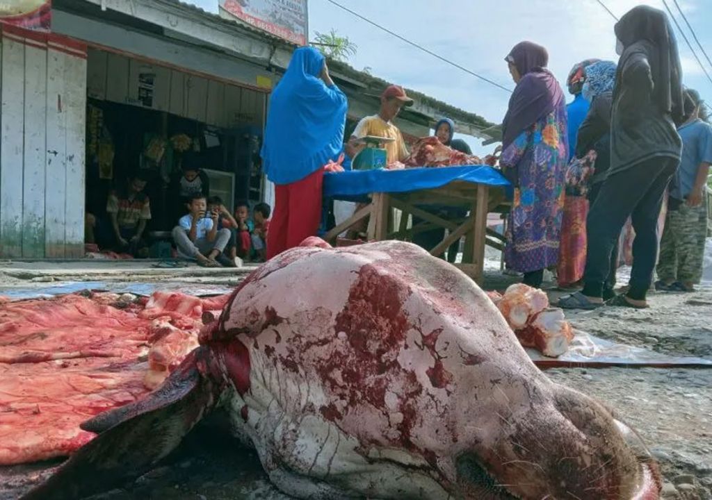 Awal Puasa Ramadan, Harga Daging Sapi Rp 150 Ribu - GenPI.co RIAU