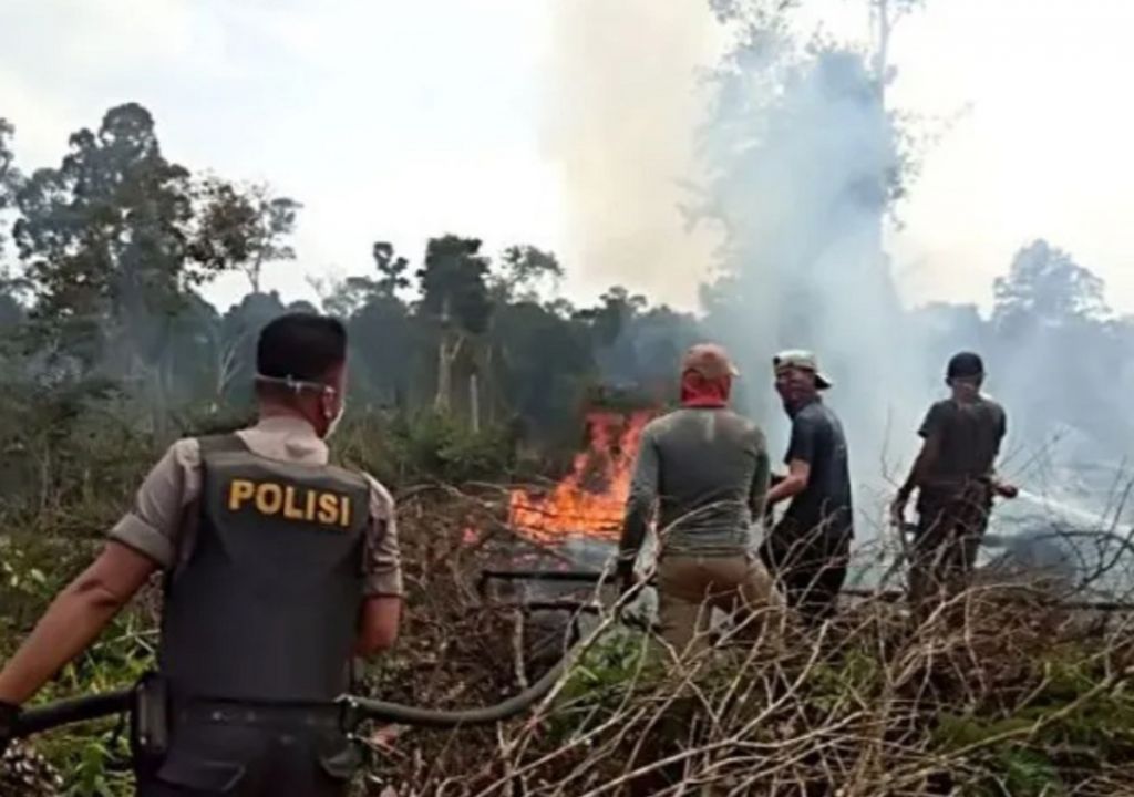 Polda Riau Tangkap 9 Pelaku Karhutla, di Mana Saja? - GenPI.co RIAU