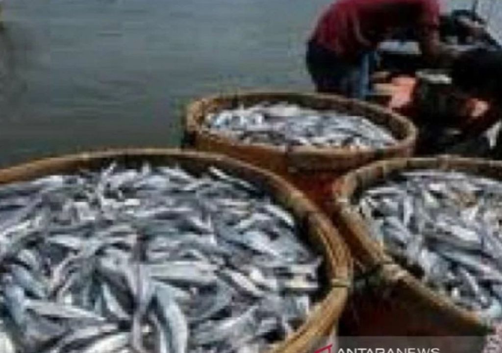 Cegah Stunting, Wagub Riau Ajak Warga Makan Ikan - GenPI.co RIAU