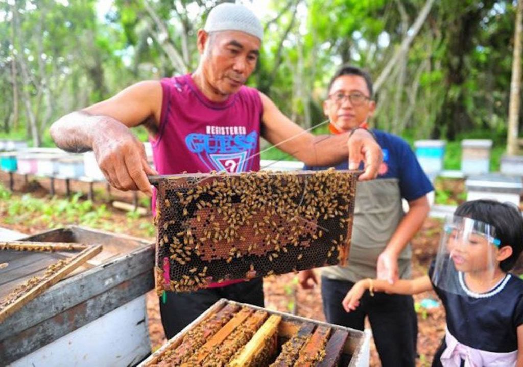 3 Manfaat Lilin Lebah untuk Kesehatan, Bibir Jadi Lembut! - GenPI.co RIAU