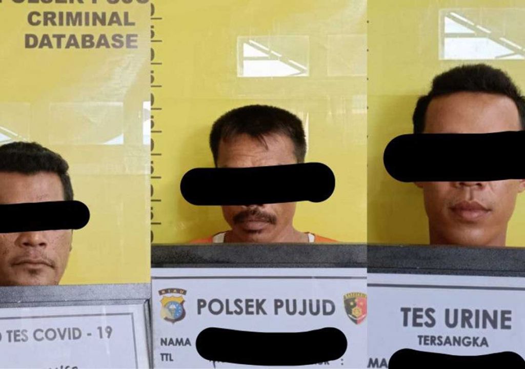 3 Pria Punguti Brondolan Sawit di Rohil, Langsung Dibekuk Polisi - GenPI.co RIAU