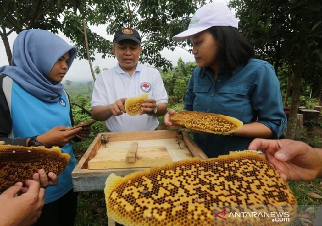 3 Khasiat Lilin Lebah untuk Kesehatan, Bisa Melembapkan Kulit! - GenPI.co RIAU