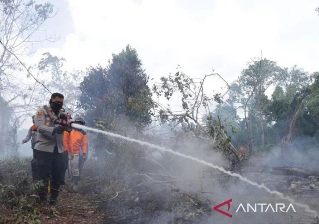 Ribuan Hektare Lahan Terbakar di Riau, Api Dijinakkan Water Bombing - GenPI.co RIAU