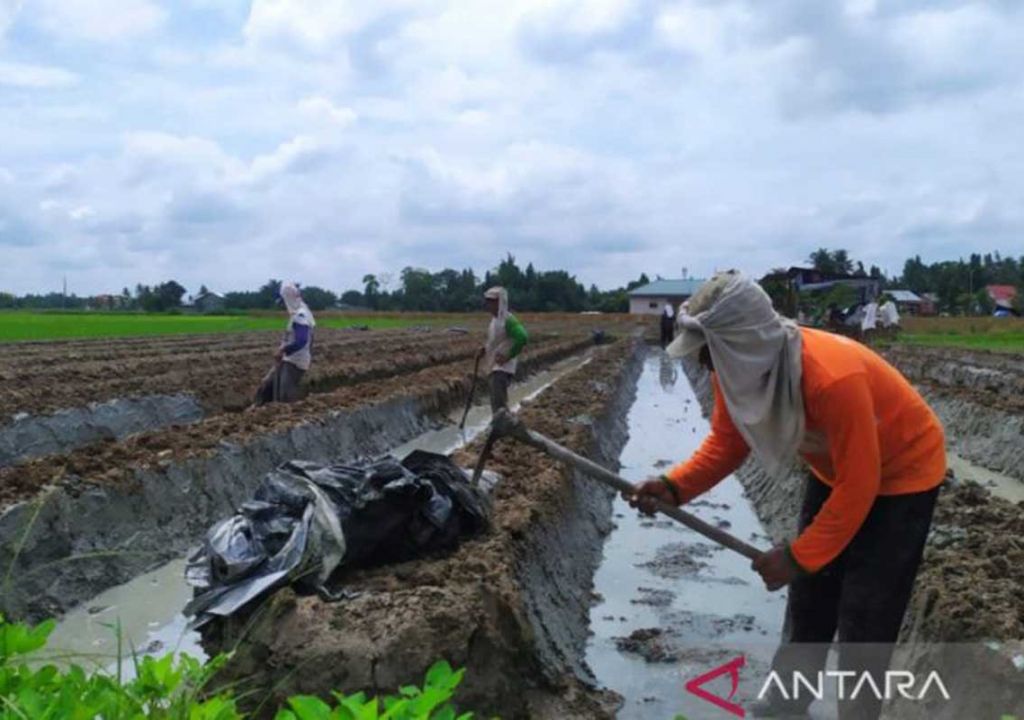 Inflasi di Riau Diperkirakan 6 Persen, Ekonomi Tumbuh Positif - GenPI.co RIAU