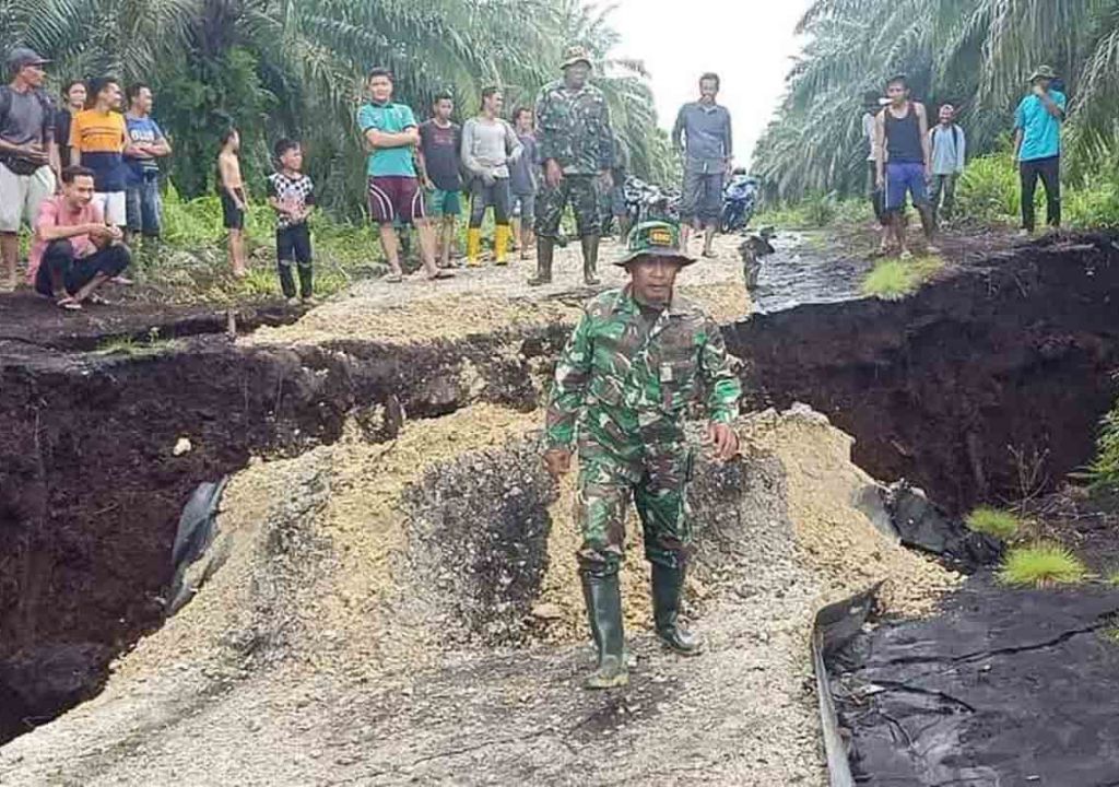 Waduhh, Abrasi di Riau Sudah Berdampak 482 Km Panjang Pantai - GenPI.co RIAU