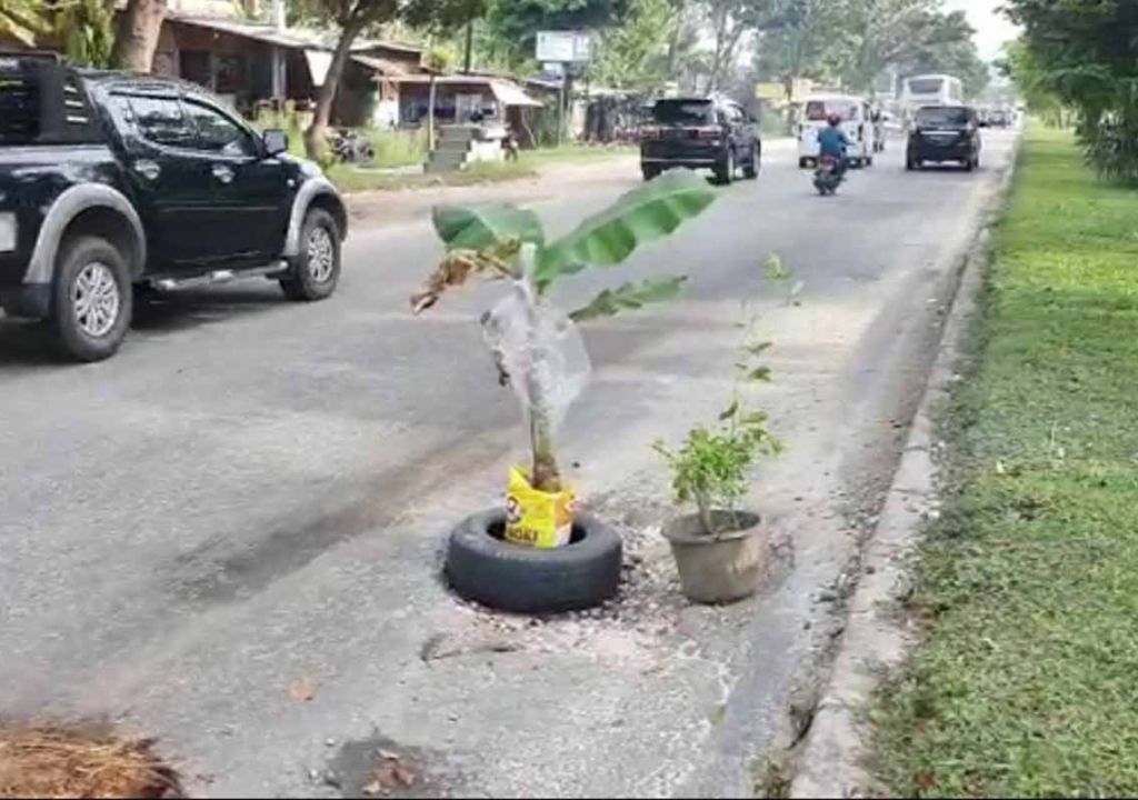 Jalan Rusak, Warga di Pekanbaru Protes Tanam Pohon pisang - GenPI.co RIAU