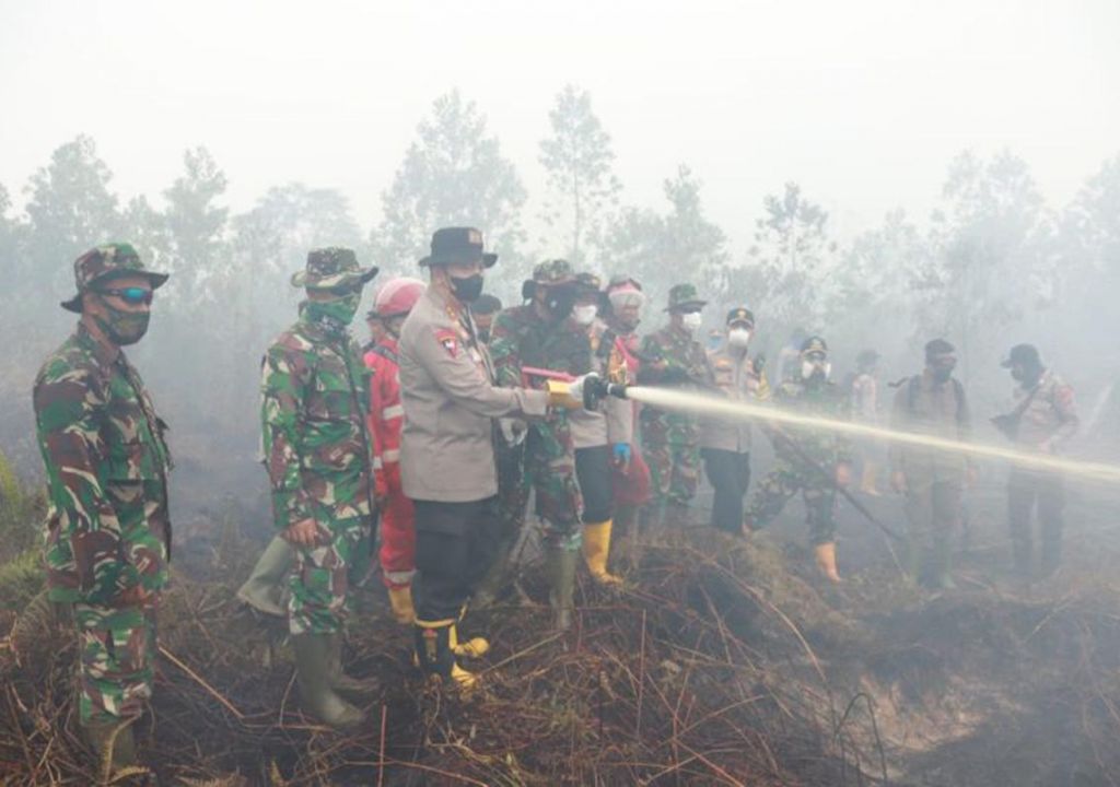 Polisi Sebut 85 Persen Karhutla di Riau Sudah Teratasi - GenPI.co RIAU