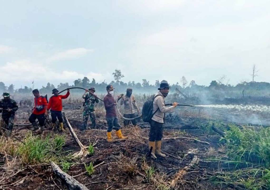 Karhutla di Riau Terjadi di Rokan Hilir, Dipadamkan Dalam 2 Hari - GenPI.co RIAU