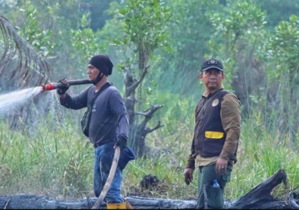 BBKSDA Riau Monitoring Karhutla Seluas 10 Hektare di Kawasan Konservasi - GenPI.co RIAU