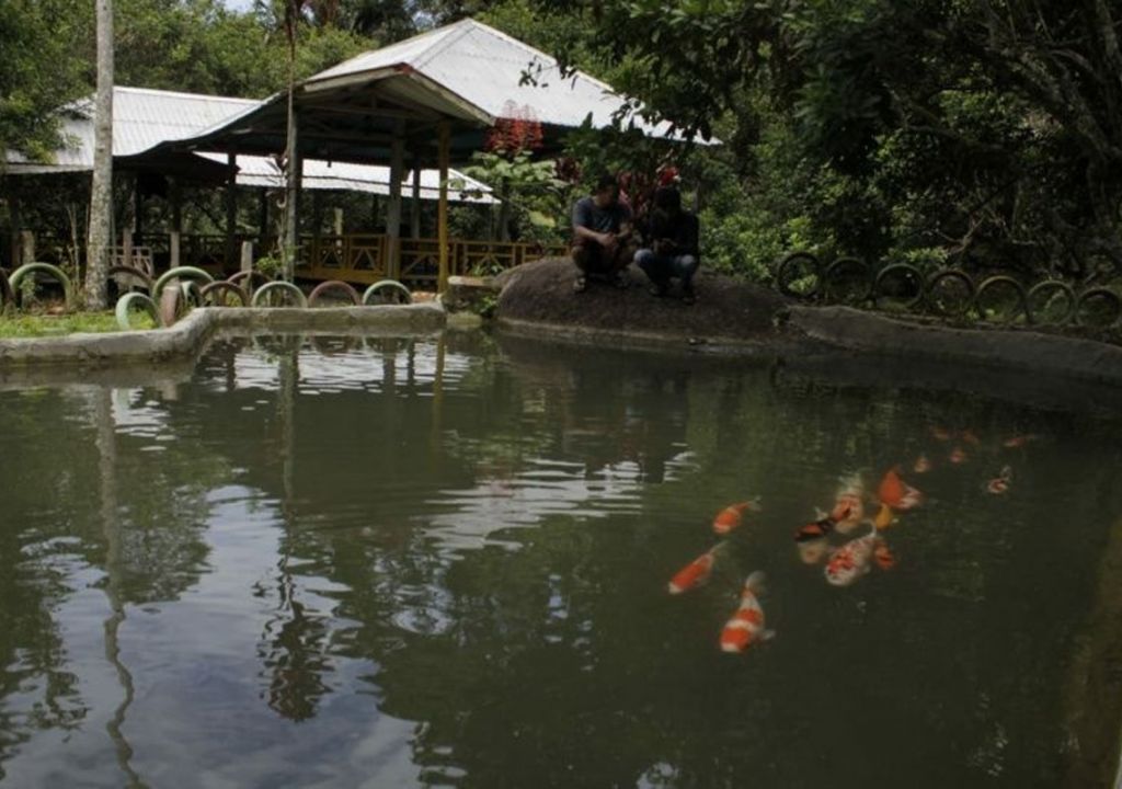Wisata Alam Rawa Bangun Eksotis, Bisa Lihat Ikan Koi Cantik - GenPI.co SULSEL