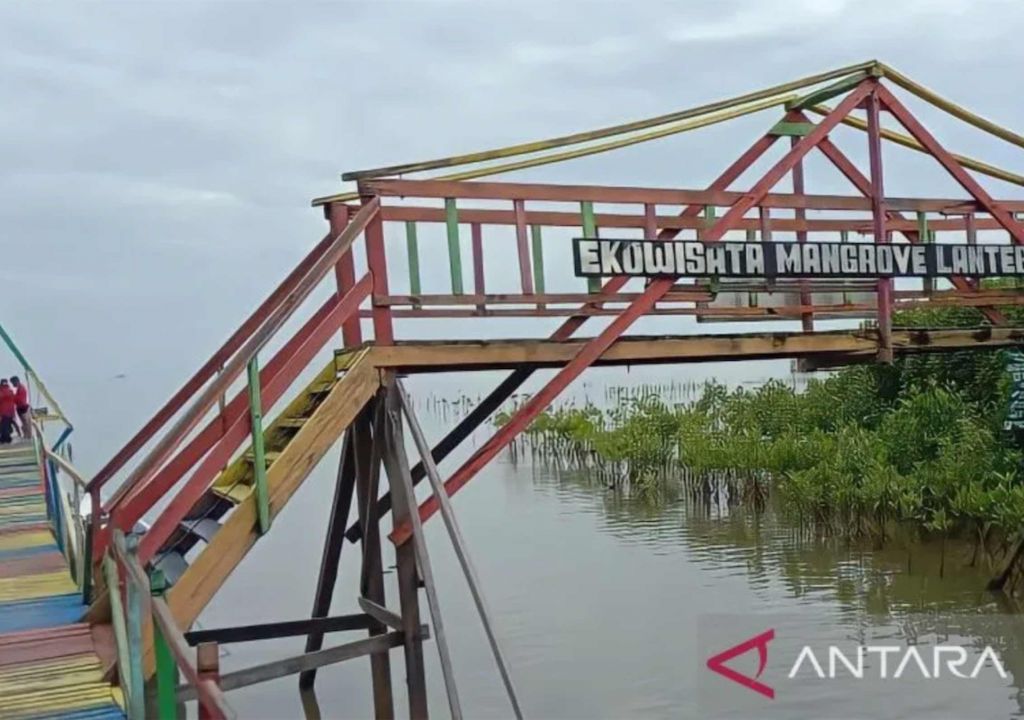 Hutan Mangrove Lantebung, Lorong Wisata Top di Makassar Sulsel - GenPI.co SULSEL