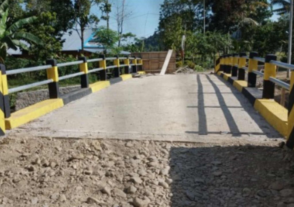 Gubernur Sulsel Sat Set, Jembatan Ambruk Langsung Dibangun di Luwu - GenPI.co SULSEL