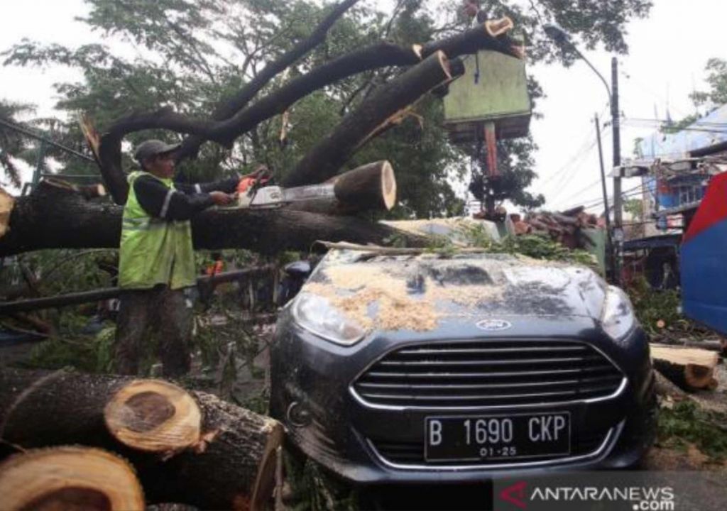 Waspada Angin Kencang, BMKG Makassar: Bawa Udara Kering - GenPI.co SULSEL
