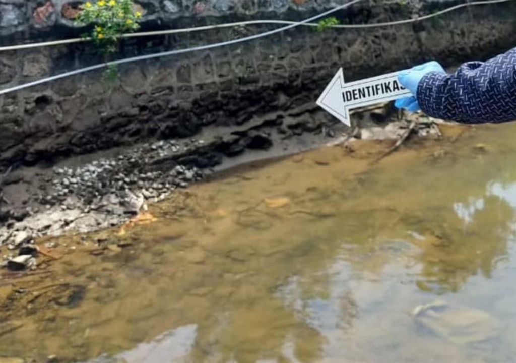 Memancing Ikan, Pelajar di Kendari Dapat Orok Bayi, Sempat Dikira Ubur-Ubur - GenPI.co SULTRA