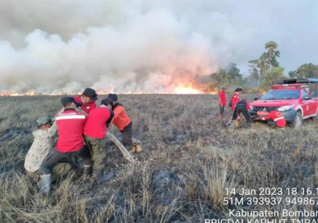 Taman Nasional Rawa Aopa Watumohai Bombana Terbakar, Diduga Ulah Oknum - GenPI.co SULTRA