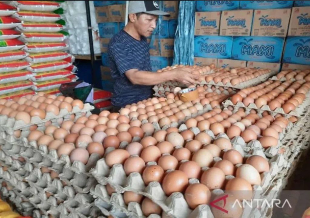 Harga Telur Ayam di Pasar Kendari Naik Banyak, Waduh - GenPI.co SULTRA